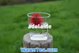 adelaide