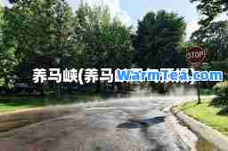 养马峡(养马峡天气预报)