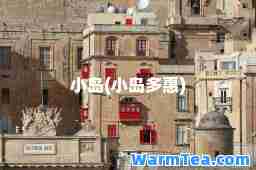 小岛(小岛多惠)