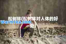 松树林(松树林对人体的好处)