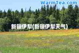 新疆伊犁(新疆伊犁天气)