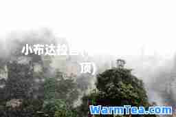 小布达拉宫(小布达拉宫金顶)