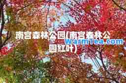 南宫森林公园(南宫森林公园红叶)
