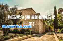 利马索尔(塞浦路斯利马索尔)