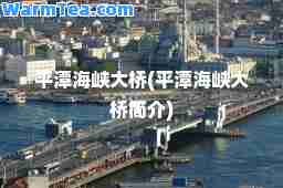 平潭海峡大桥(平潭海峡大桥简介)