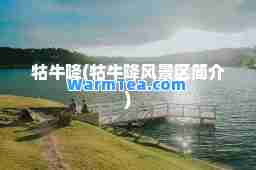 牯牛降(牯牛降风景区简介)