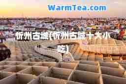 忻州古城(忻州古城十大小吃)
