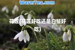 花莲(花莲好吃还是白鲢好吃)