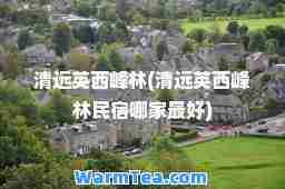 清远英西峰林(清远英西峰林民宿哪家最好)