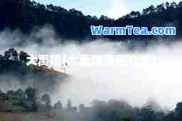 大禹陵(大禹陵景区介绍)