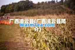 广西凌云县(广西凌云县简介)