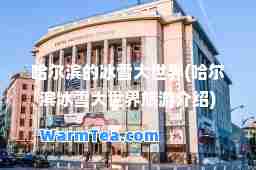 哈尔滨的冰雪大世界(哈尔滨冰雪大世界旅游介绍)
