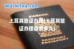 土耳其签证办理(土耳其签证办理需要多久)