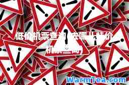 低价机票查询(去哪儿特价机票查询)