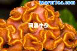 阿婆牛杂