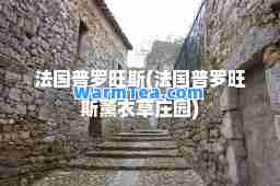 法国普罗旺斯(法国普罗旺斯薰衣草庄园)