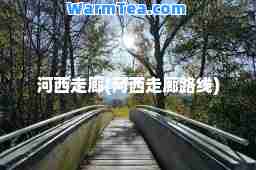 河西走廊(河西走廊路线)