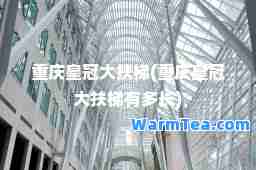 重庆皇冠大扶梯(重庆皇冠大扶梯有多长)