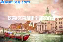 汶莱(文莱是哪个国家的城市)