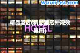 精品酒店(精品酒店外观效果图)