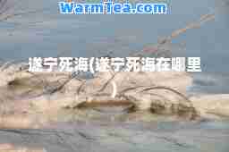 遂宁死海(遂宁死海在哪里)