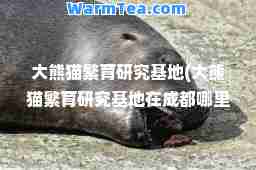 大熊猫繁育研究基地(大熊猫繁育研究基地在成都哪里) 大熊猫繁育研究基地(大熊猫繁育研究基地在成都哪里)