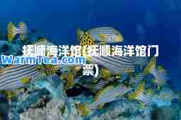 抚顺海洋馆(抚顺海洋馆门票)