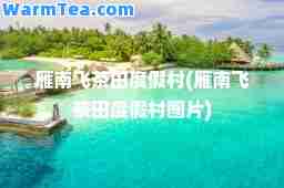 雁南飞茶田度假村(雁南飞茶田度假村图片)