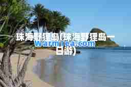 珠海野狸岛(珠海野狸岛一日游)