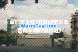 深圳市少年宫(深圳市少年宫停车场收费标准)