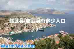 临武县(临武县有多少人口)