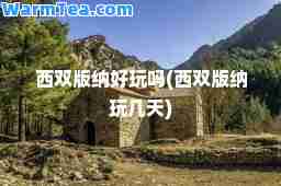 西双版纳好玩吗(西双版纳玩几天)