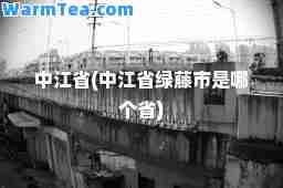 中江省(中江省绿藤市是哪个省)