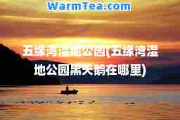 五缘湾湿地公园(五缘湾湿地公园黑天鹅在哪里)