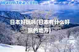 日本好玩吗(日本有什么好玩的地方)