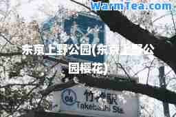 东京上野公园(东京上野公园樱花)