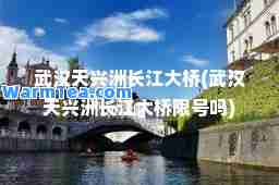 武汉天兴洲长江大桥(武汉天兴洲长江大桥限号吗)