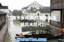 江南水乡乌镇(江南水乡乌镇风光图片)