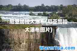 尼亚加拉大瀑布(尼亚加拉大瀑布图片)