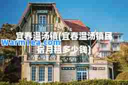 宜春温汤镇(宜春温汤镇民宿月租多少钱)