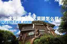 太昊陵简介(太昊陵怎么样)