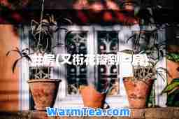 兰房(又衔花瓣到兰房)