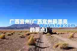 广西宜州(广西宜州最漂亮的景点)