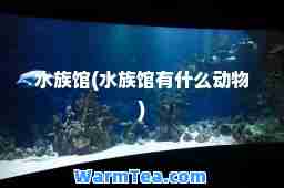 水族馆(水族馆有什么动物)