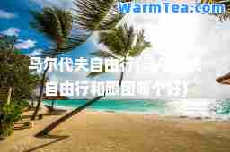 马尔代夫自由行(马尔代夫自由行和跟团哪个好)