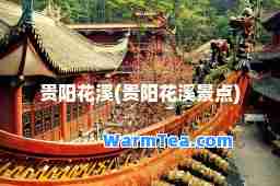 贵阳花溪(贵阳花溪景点)