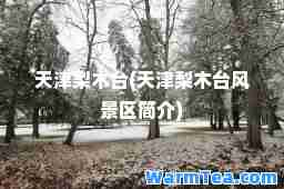 天津梨木台(天津梨木台风景区简介)