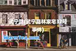 武宁路(武宁路林家宅37号事件)