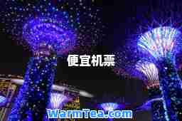 便宜机票
