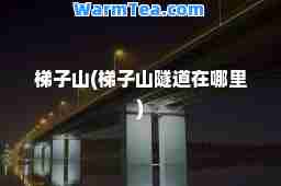 梯子山(梯子山隧道在哪里)